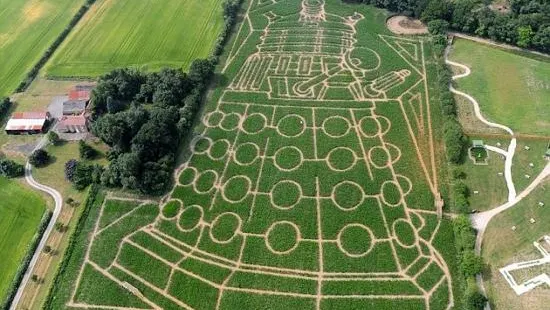 York Maze