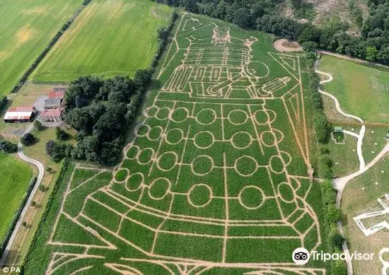 York Maze