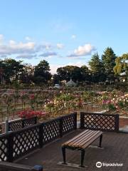 Kadokura Techno Rose Garden, Shikishima Park