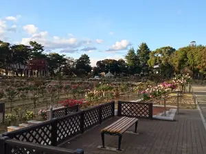 Kadokura Techno Rose Garden, Shikishima Park