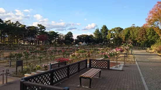 敷島公園 門倉テクノばら園