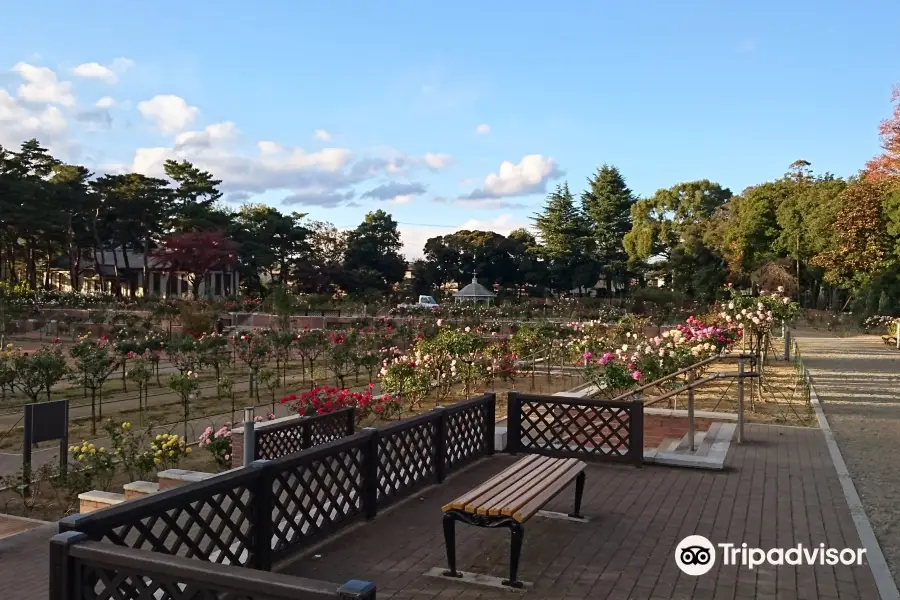 敷島公園ばら園