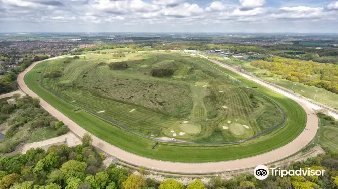 1_Newcastle Racecourse
