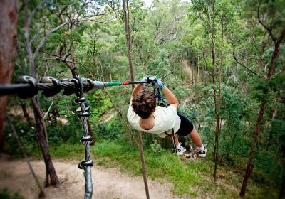 TreeTop Challenge Gold Coast - Australia's Largest Adventure Park