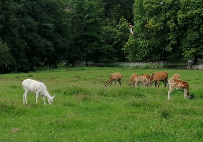 Schlosspark von Putbus