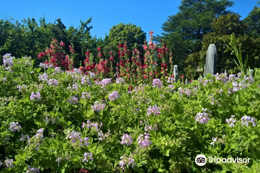 Botanical Gardens