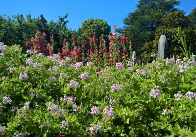 Botanical Gardens