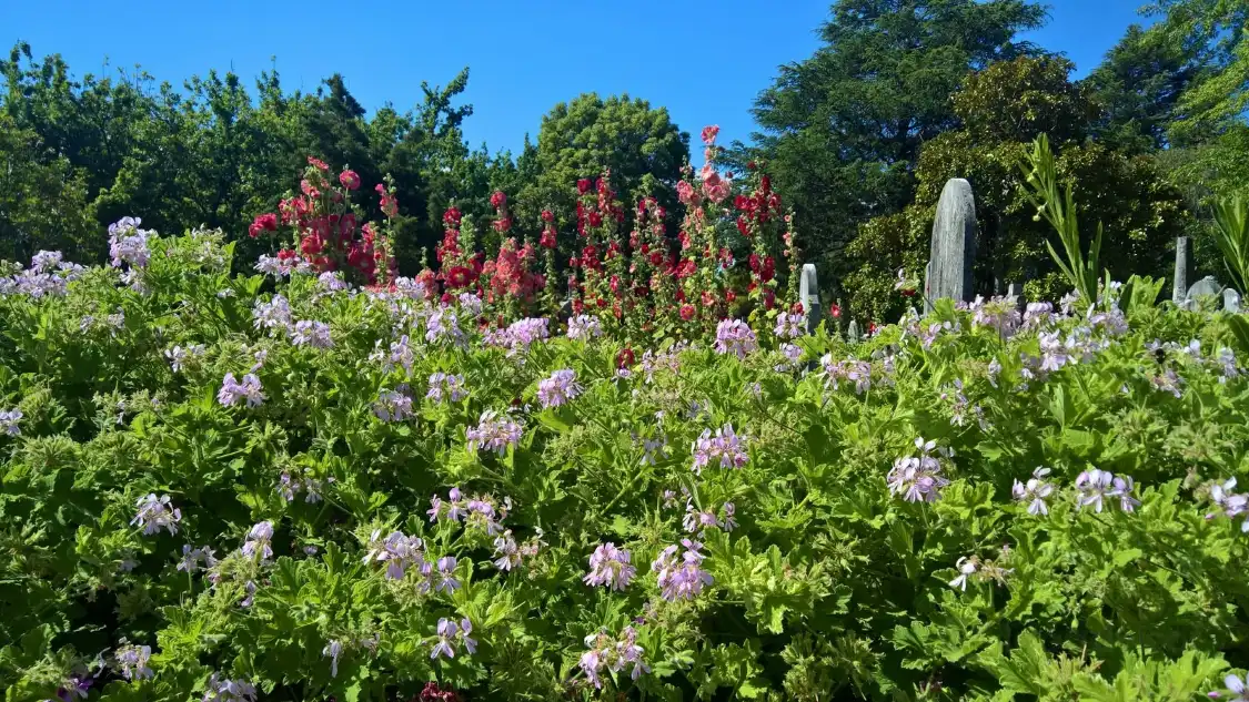 Hotels near Botanical Gardens