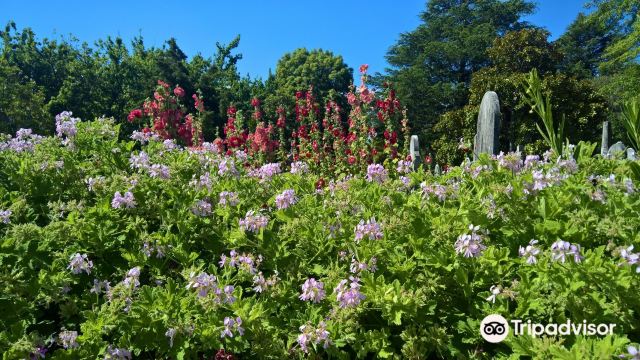Botanical gardens