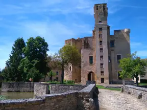 Chateau de Sagonne