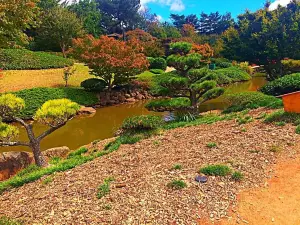 Japanese Garden