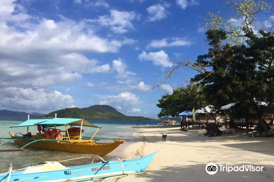 Coron W Divers