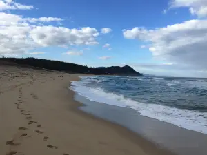 Kotohikihama Beach