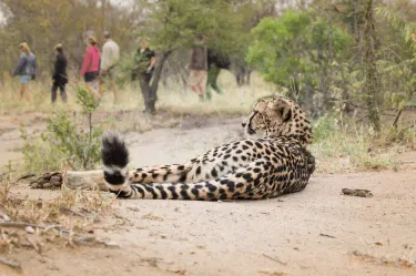 Tshukudu Game Lodge