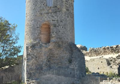 Chateau des Guilhem