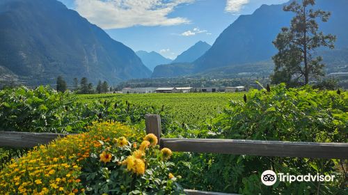 Fort Berens Estate Winery Ltd