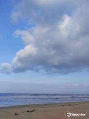 Surathkal Beach