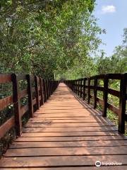 Sharavathi Kandla Mangrove Boardwalk