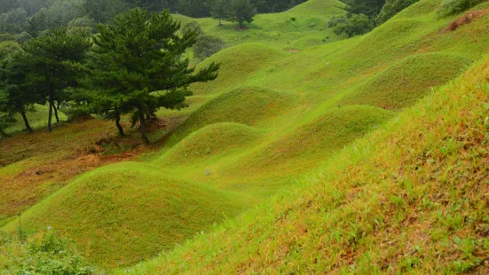 Bullodong Ancient Tomb Park