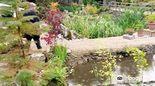 Cascades Gardens - Meditation Garden and Bonsai Centre