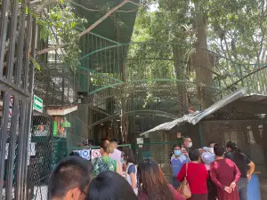 El Club de los Animalitos