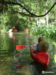 BeachnRiver Canoe and Kayak Rentals