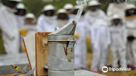 Muria Centre d'Interpretacio Apicola