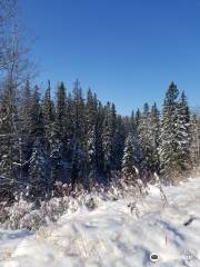 Patricia Ravine Trail