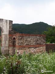 Roman Fortress Sostra