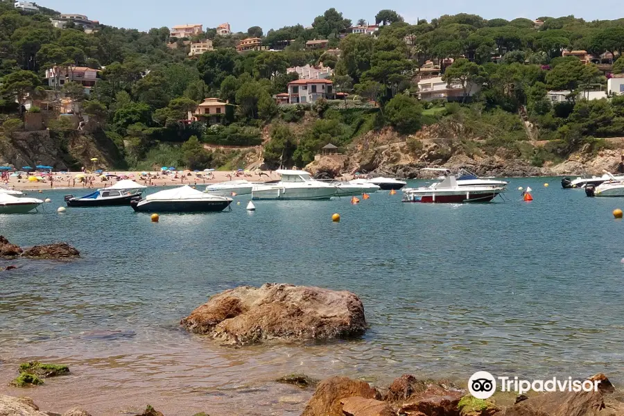 Platja de Sa Riera