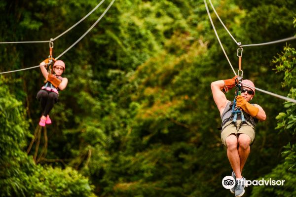 Zip Lines Adventures by Runners Adventures
