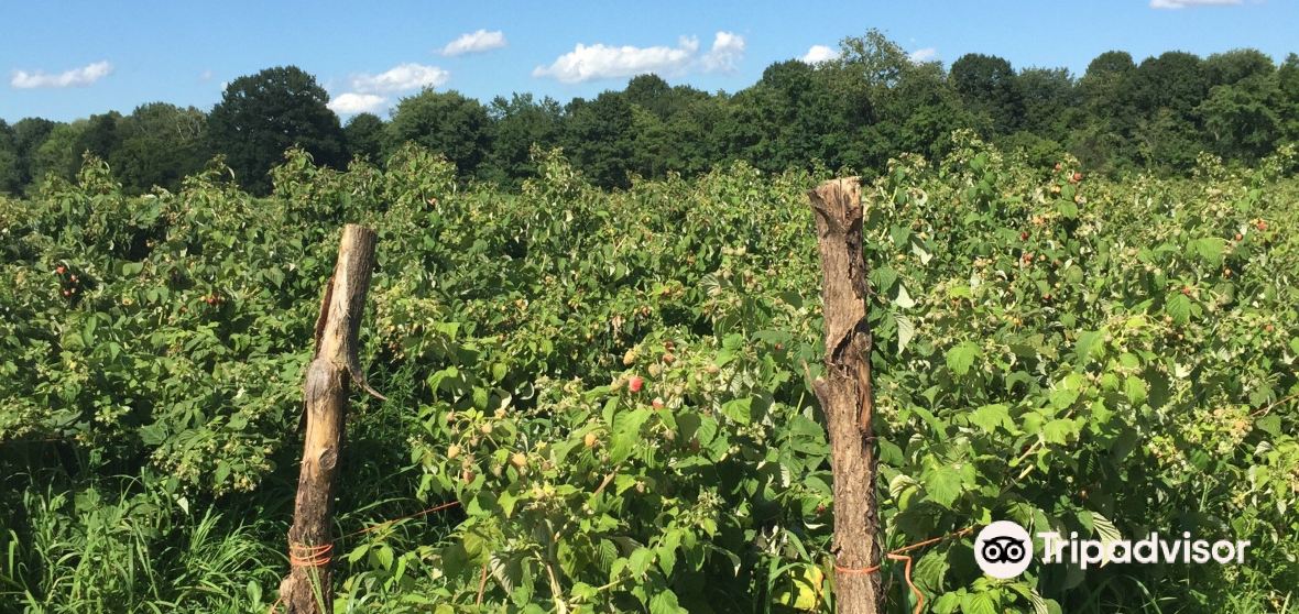 Things to Do in Kerhonkson in 2024 Top Attractions, Local Food