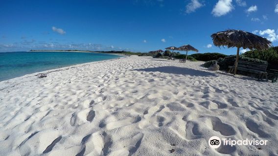 Local Flavor Charters