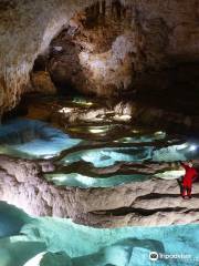 The Okinoerabujima Caving Association