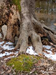 Bull Run - Occoquan Trail