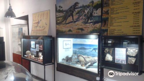 Museo Entomologico de Vicuna