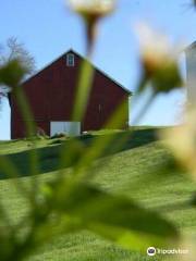 Wea Creek Orchard