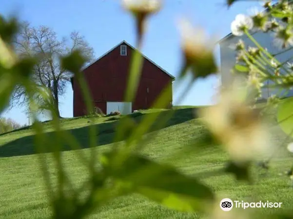 Wea Creek Orchard