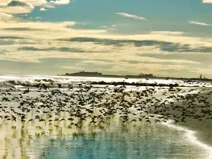 Stone Harbor Point