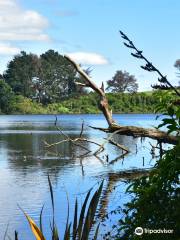 Westmere Lake