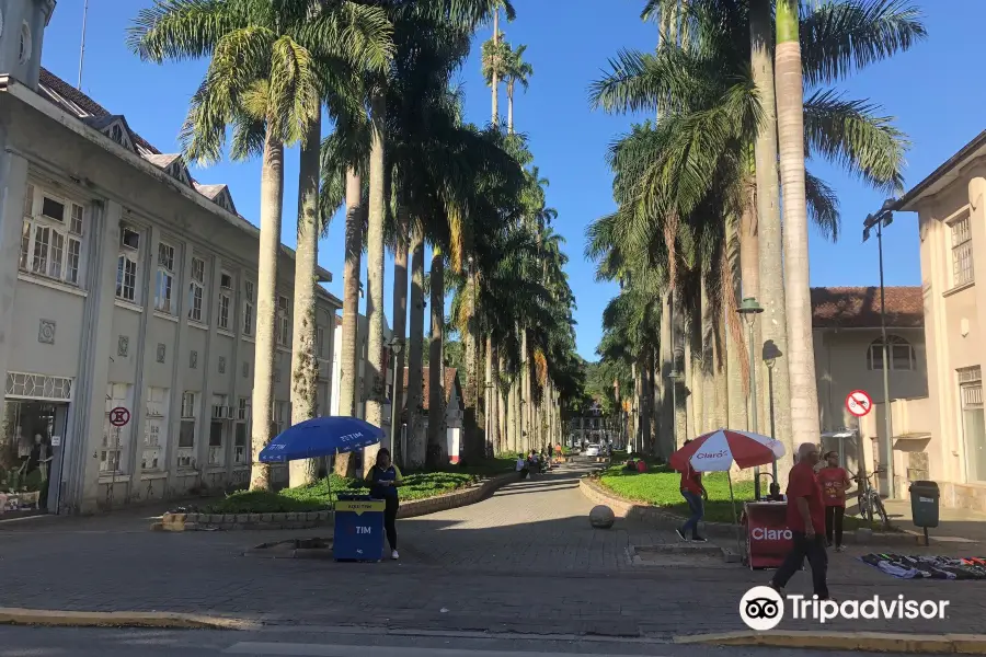 Rua das Palmeiras