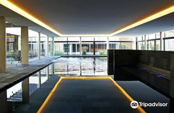 格魯特·拜加登