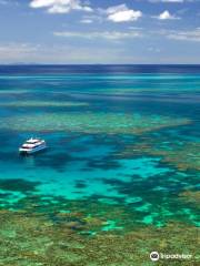Poseidon Outer Reef Cruises