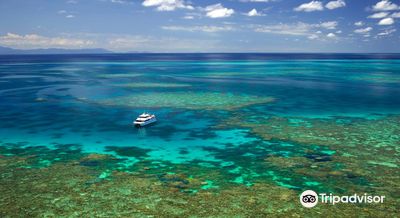 Poseidon Outer Reef Cruises
