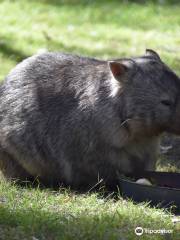 Australian Wildlife Sanctuary