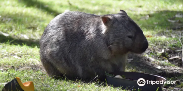 Wirrimbirra Sanctuary
