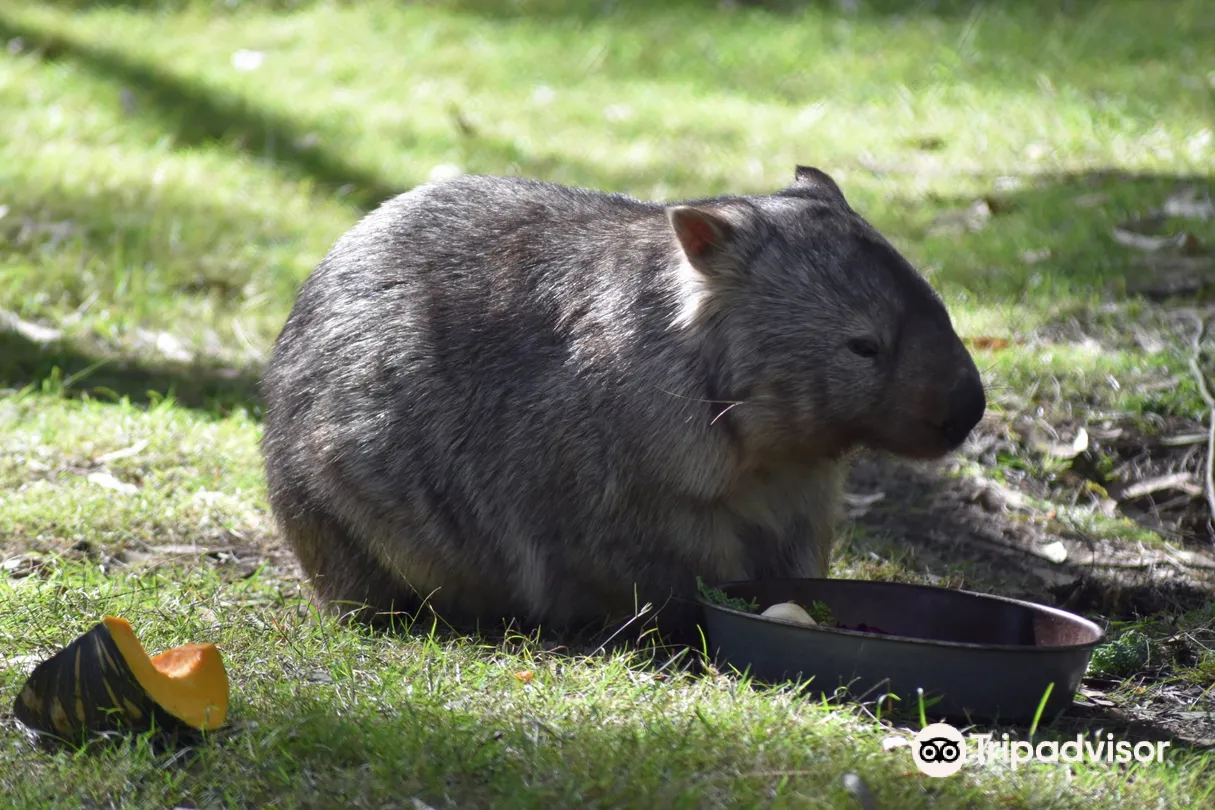 1_Wirrimbirra Sanctuary