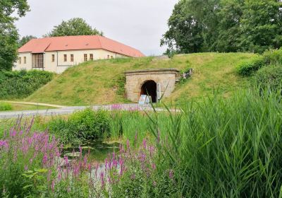 Museum Schloss und Festung Senftenberg / Kunstsammlung Lausitz