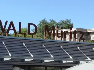 BARENWALD Muritz