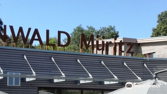 BÄRENWALD Müritz GmbH